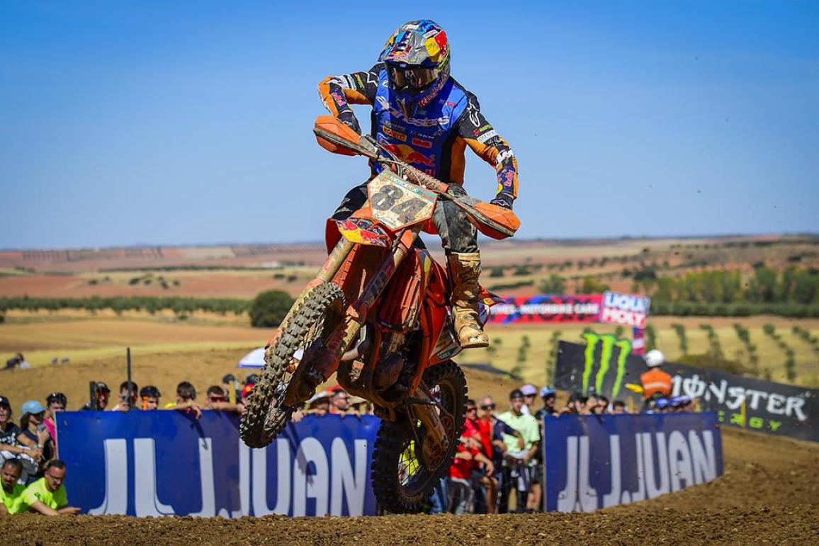 Herlings